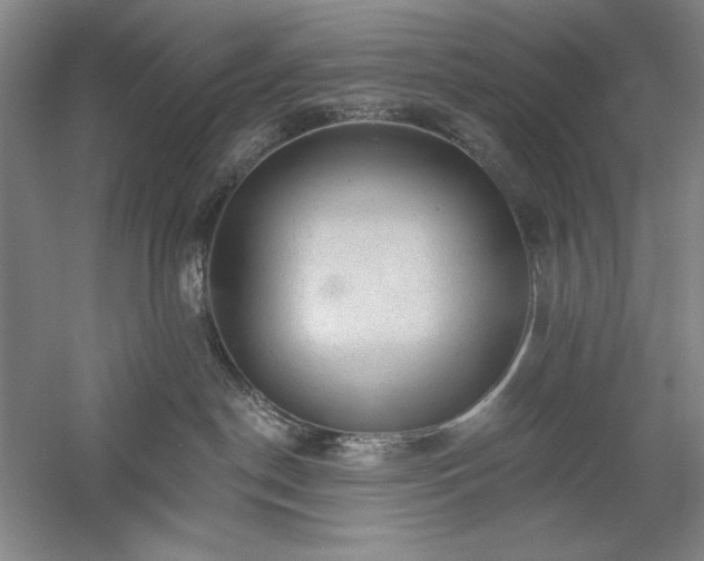 X0000060220190200510281117