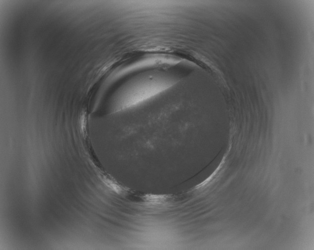 X0000060220192200510281117