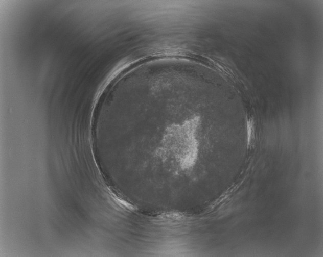 X0000060220195200510281117