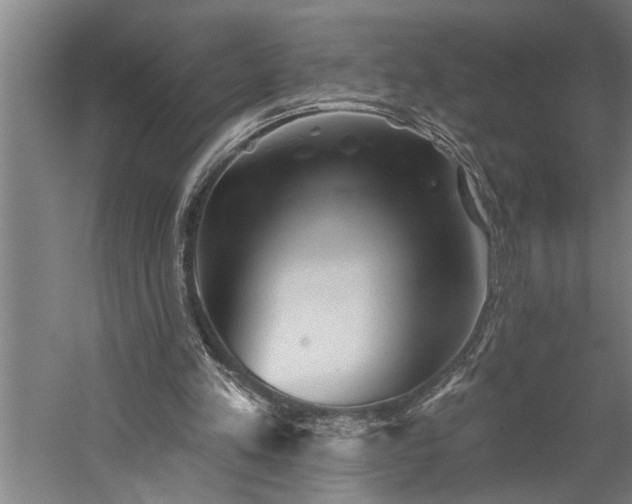 X0000060220197200510281117