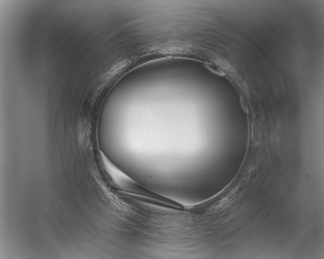 X0000060220201200510281117