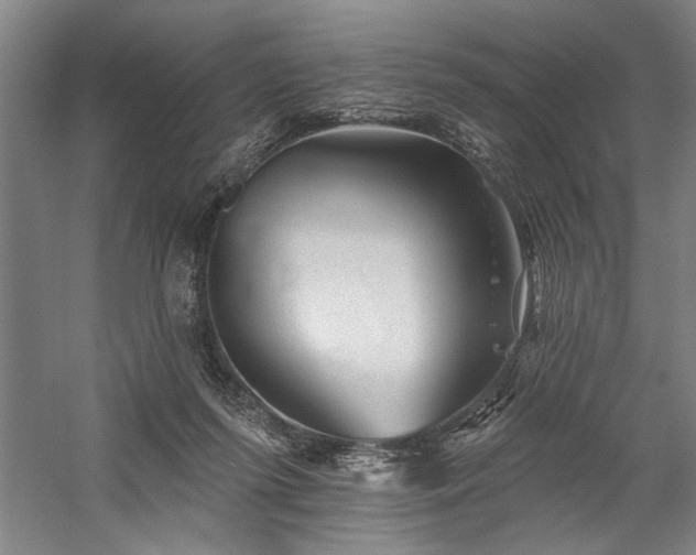 X0000060220215200510281116