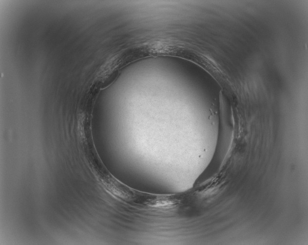 X0000060220217200510281116