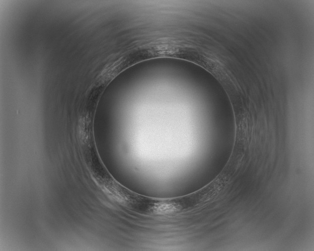 X0000060220218200510281116
