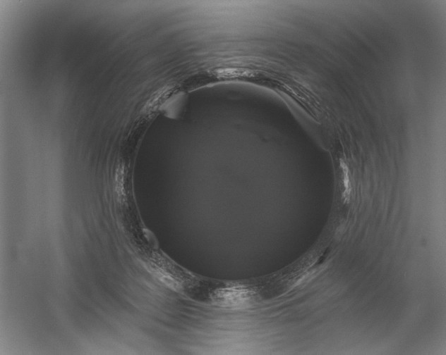 X0000060220219200510281116