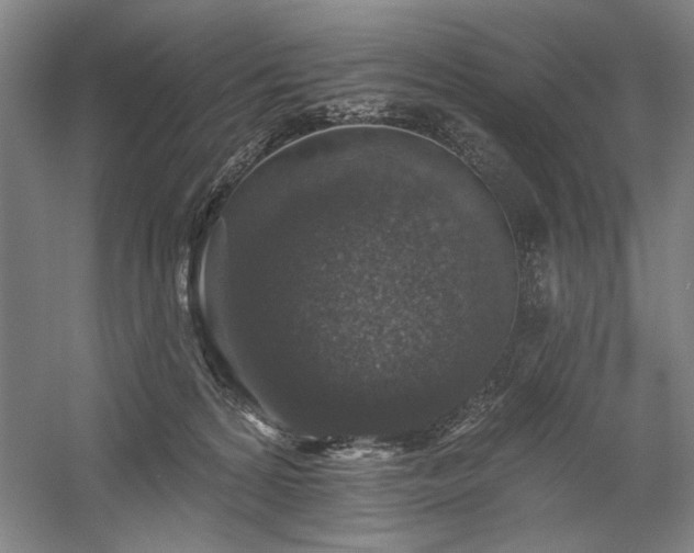 X0000060220224200510281116