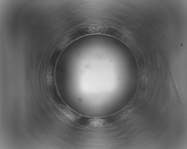 X0000060220226200510281116