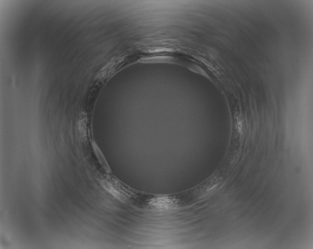 X0000060220231200510281116