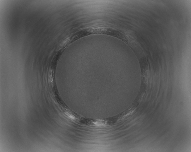 X0000060220232200510281116
