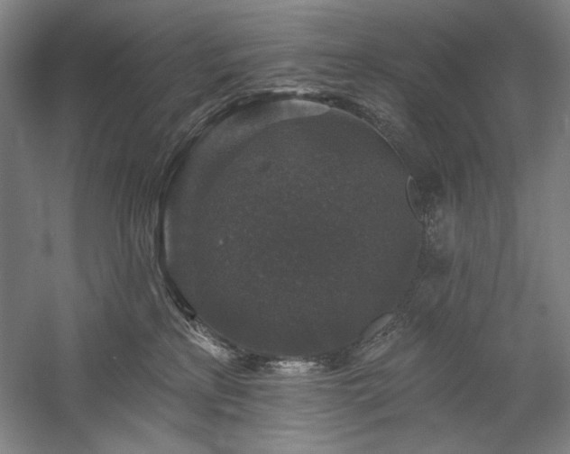 X0000060220233200510281116