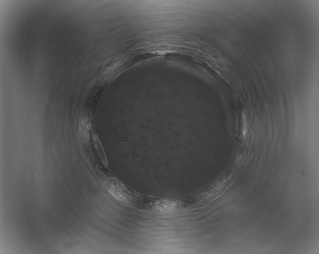 X0000060220235200510281116