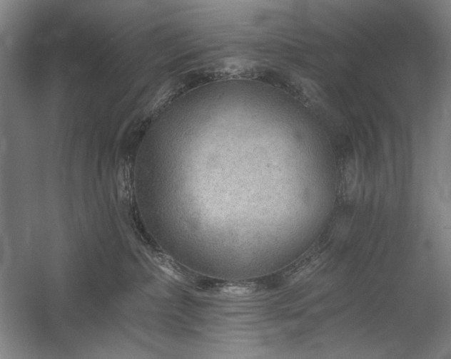 X0000060220236200510281116