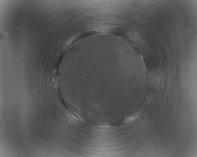 X0000060220237200510281116