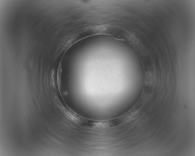 X0000060220238200510281116