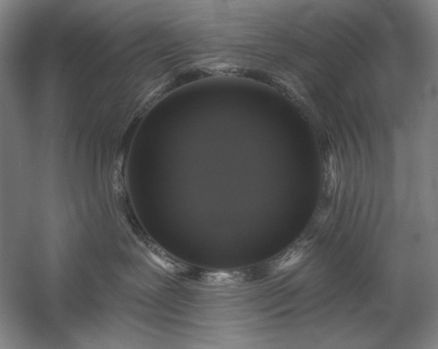 X0000060220239200510281116
