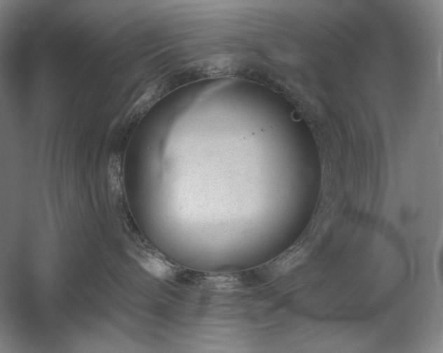 X0000060220240200510281116