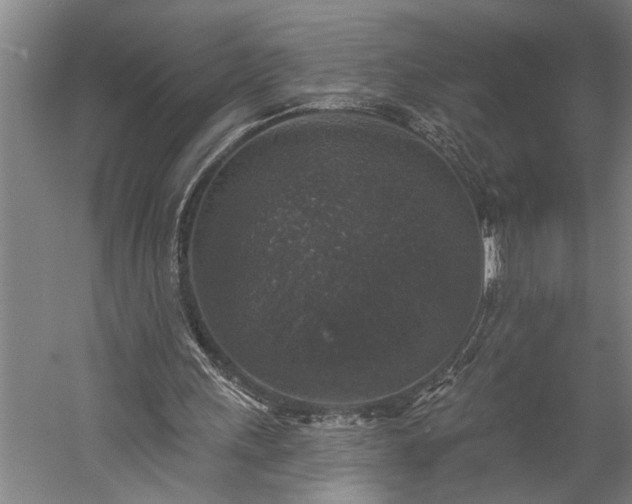 X0000060220243200510281115
