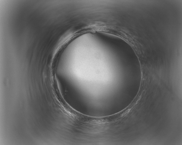 X0000060220245200510281115