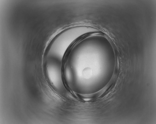 X0000060220248200510281115