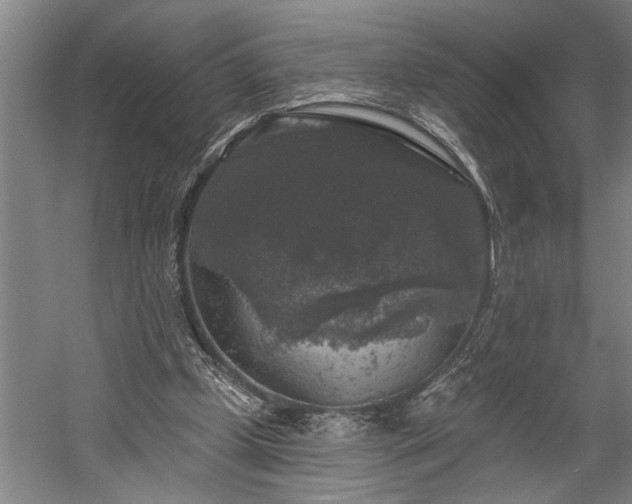 X0000060220249200510281115