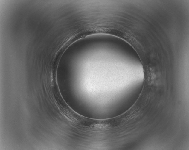 X0000060220251200510281115