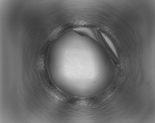 X0000060220259200510281115