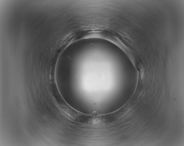 X0000060220264200510281115