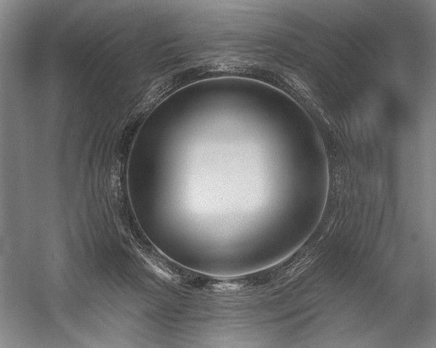X0000060220265200510281115