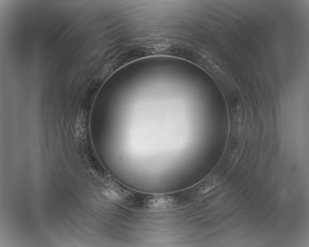 X0000060220274200510281116