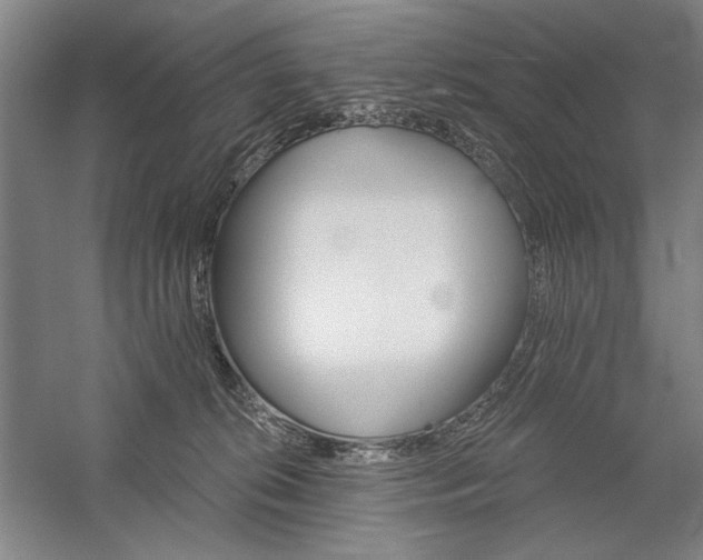 X0000060220276200510281116
