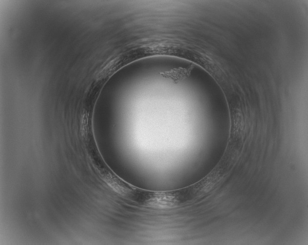 X0000060220278200510281116