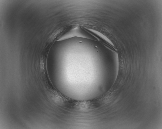 X0000060220282200510281116