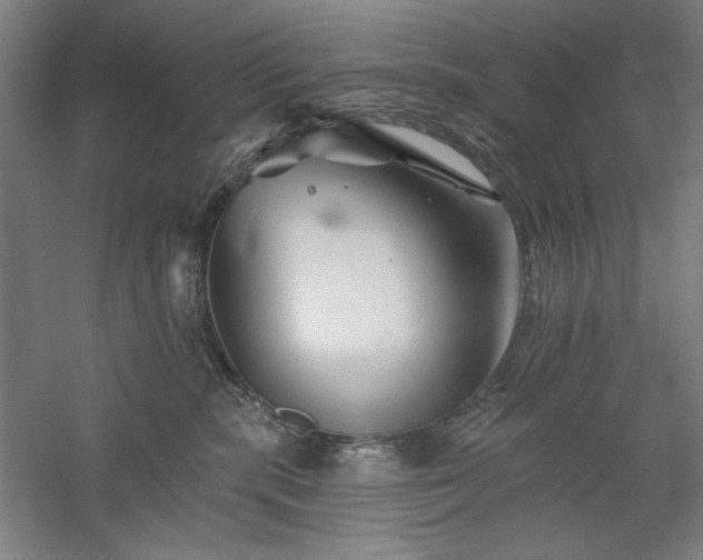 X0000060220283200510281116