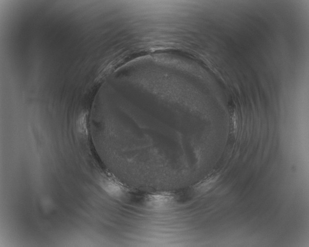 X0000060220286200510281116
