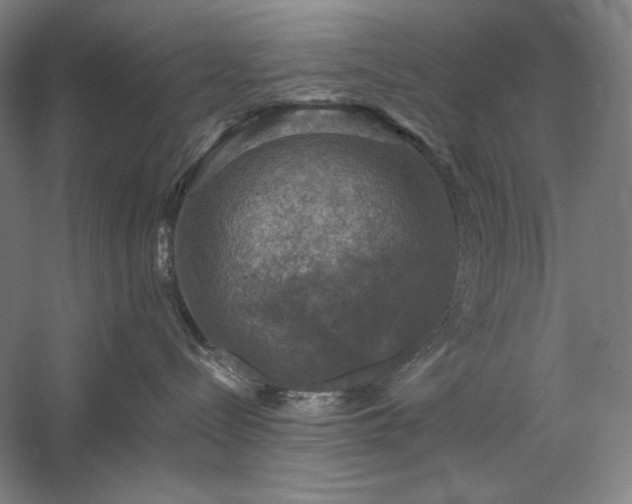 X0000060220288200510281116