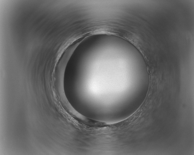 X0000060220289200510281115