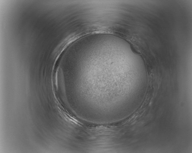 X0000060220290200510281115