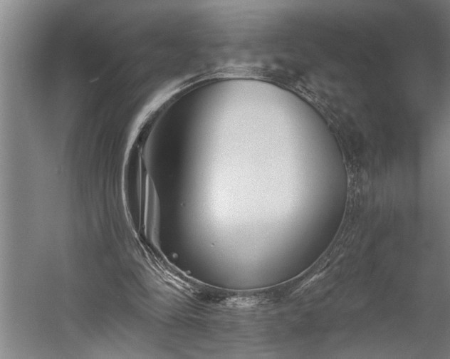 X0000060220294200510281115