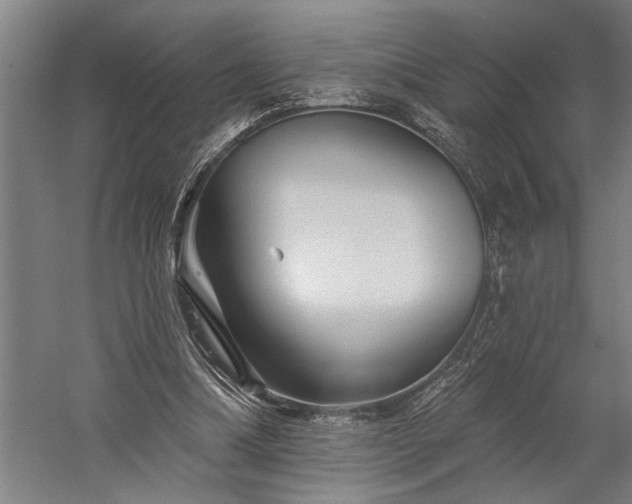 X0000060220298200510281115