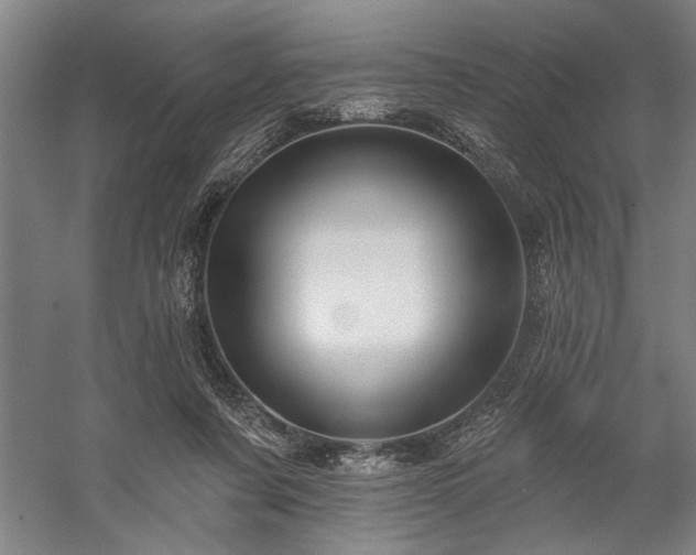 X0000060220311200510281115