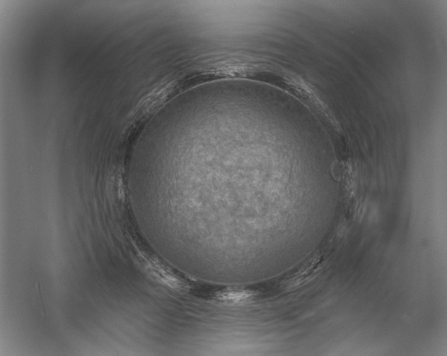 X0000060220313200510281115