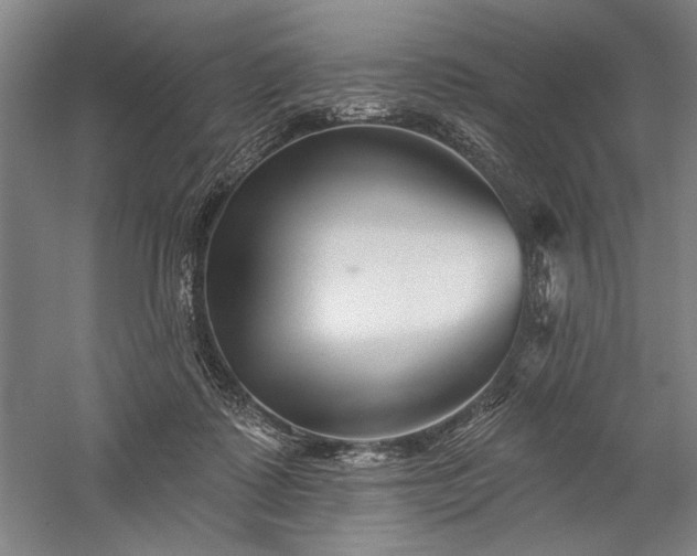 X0000060220315200510281115