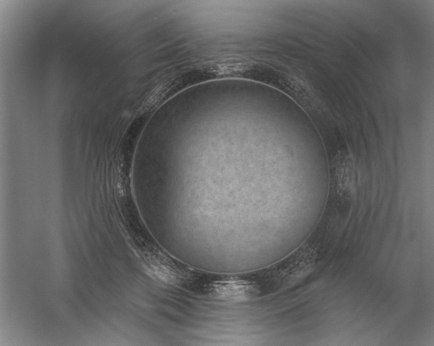 X0000060220316200510281115