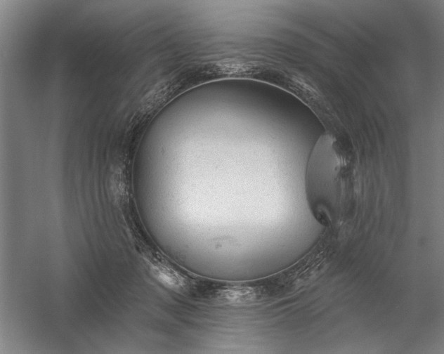 X0000060220317200510281115