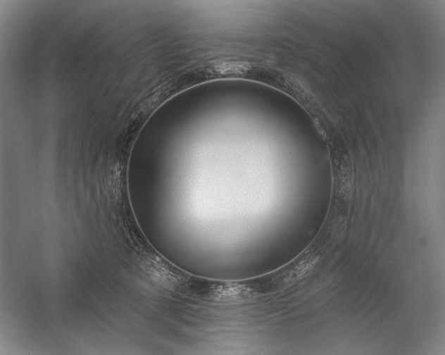 X0000060220321200510281114