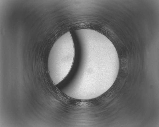 X0000060220324200510281114