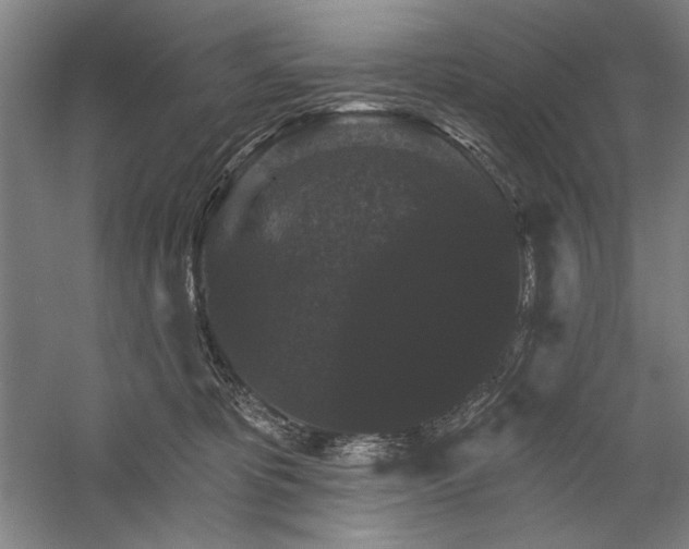 X0000060220325200510281114