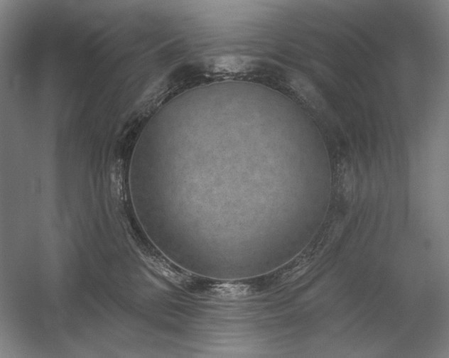X0000060220328200510281114