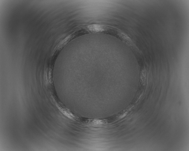 X0000060220330200510281114
