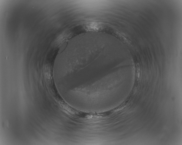 X0000060220331200510281114